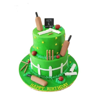 Cricket fan Birthday Cake
