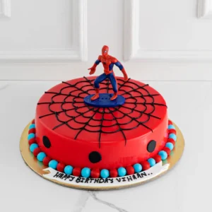 Spider web birthday Cake