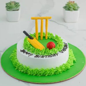 Cricket fan Birthday Cake